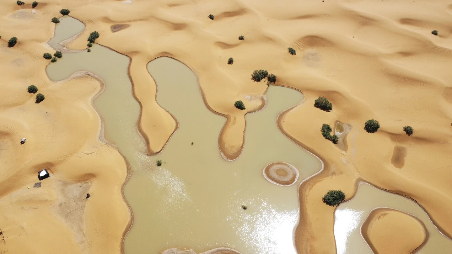 Water gushes through sand dunes after a rare rainfall in the Sahara desert