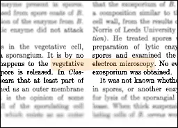 How AI slop generators started talking about ‘vegetative electron microscopy’