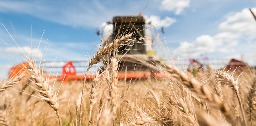EU increases tariffs on Russian grain to hamper its war effort – but it’s European consumers who could feel the pinch