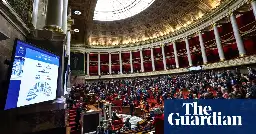 French move to make abortion a ‘guaranteed freedom’ gains big win in lower house