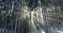 Do The Inuit People Really Have 50 Words For Snow?