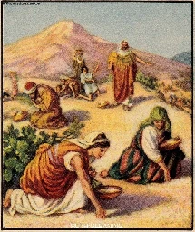 Ruth Gleaning