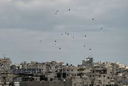 Five Gazans Killed by US Aid Airdrops as Biden Faces Backlash Over 'Gimmicks'
