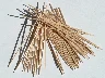 woodenskewer