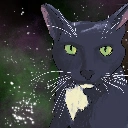 Space_Cat_95