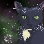 Space_Cat_95