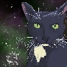 Space_Cat_95