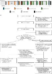 MDMA-assisted therapy for severe PTSD: a randomized, double-blind, placebo-controlled phase 3 study - Nature Medicine