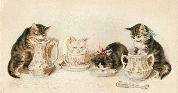 kittens drinking milk