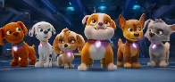 'PAW Patrol: The Mighty Movie' Beats 'Saw X,' 'The Creator' To Top Domestic Box Office