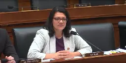 Tlaib bill slams door on war cash for politicos and their families