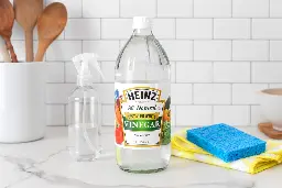 The #1 Surface to Never Clean with Distilled Vinegar (Plus, 6 More Things to Avoid)