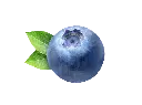 NewEnglandBlueberry