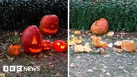 Czech village priest sorry for smashing pumpkins