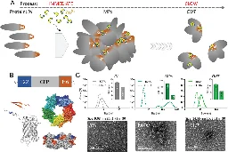 New micromaterial releases nanoparticles that selectively destroy cancer cells