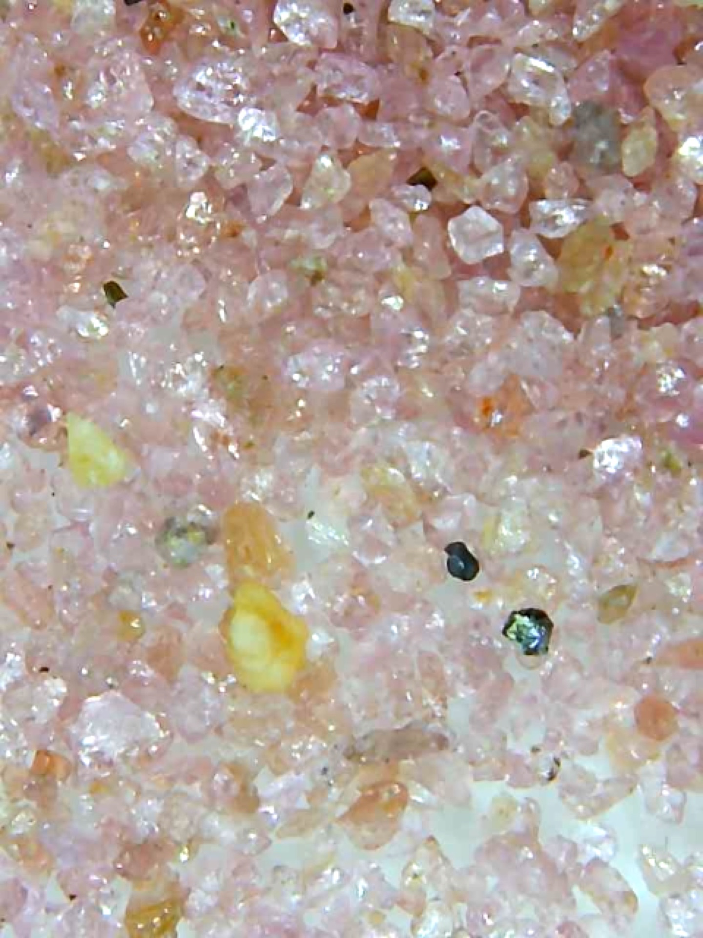 magnifyed pink sand on a glass slide
