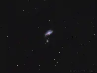 NGC 4490 - The Cocoon Galaxy [OC]