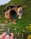 Visited Hobbiton and brought a buddy along