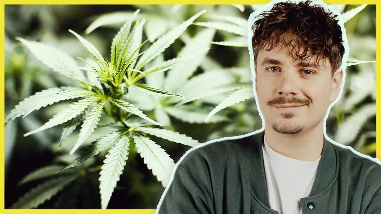 PULS Reportage: Selbstversuch: Cannabis-Anbau (Teil 1) - hier anschauen