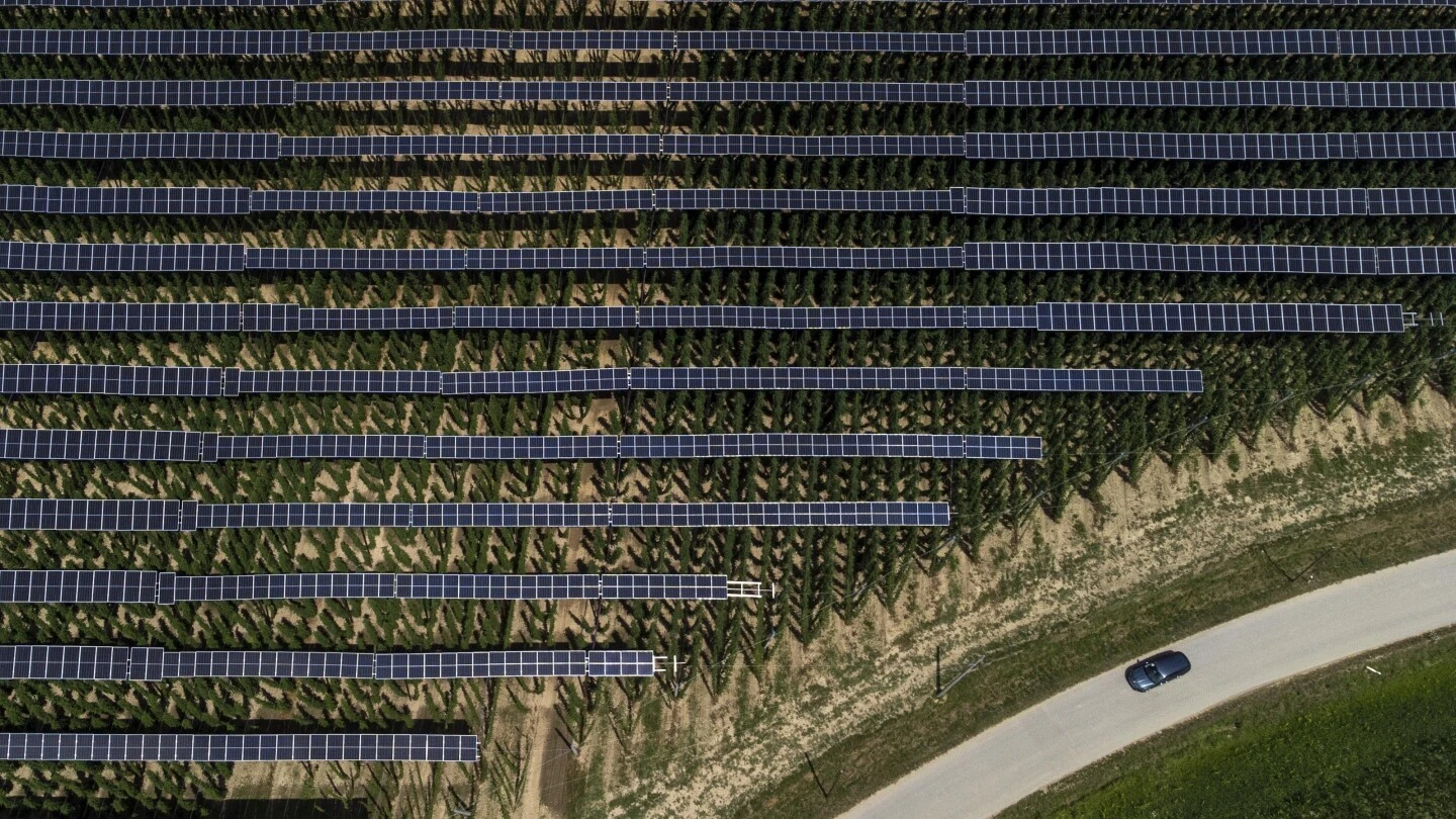 Hops for beer flourish under solar panels. They're not the only crop thriving in the shade.