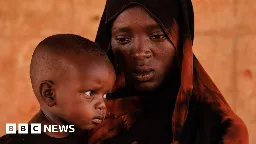 Sudan war: Famine rages as peace talks fall short yet again