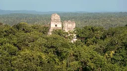 Rubber and tree sap: How ancient Maya cities have withstood the ravages of time