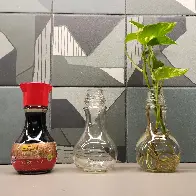 Empty soy sauce bottles are perfect for plant propping