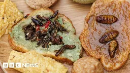 Insect-eating advocates face a culinary challenge: taste