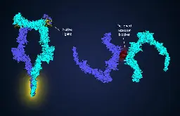 Revolutionising Cancer Therapy with Protein Design