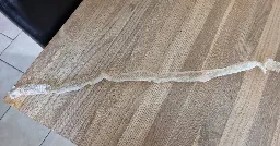 Freshly shed snake skin found on West Cork footpath