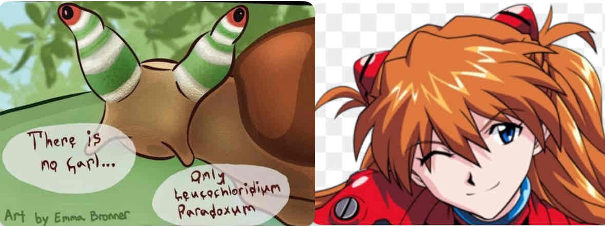 comparison of cartoon snail and Asuka from Evangelion