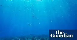 Ocean surface hits highest ever recorded temperature and set to rise further