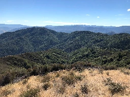 On the Russian River, a Slow Road to Good Fire - Bay Nature