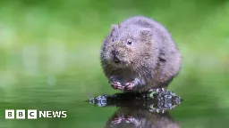 Nature groups launch legal challenge over England's wildlife loss