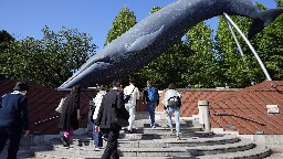 Japan proposes expanding commercial whaling to fin whales, a larger species than the 3 allowed now