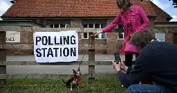 UK election: Animals at polling stations! Who’s your favorite?