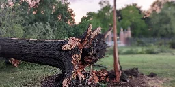 Tree limb disposals open, thousands still without power after severe storms hit Topeka