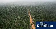 World’s top banks ‘greenwashing their role in destruction of the Amazon’