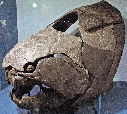 Dunkleosteus - Wikipedia