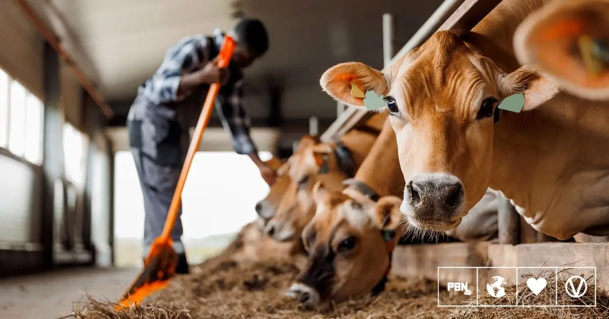 Bird Flu Found In Raw Milk In The US, Officials Say