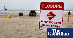 Sharks attack three swimmers off two Florida beaches