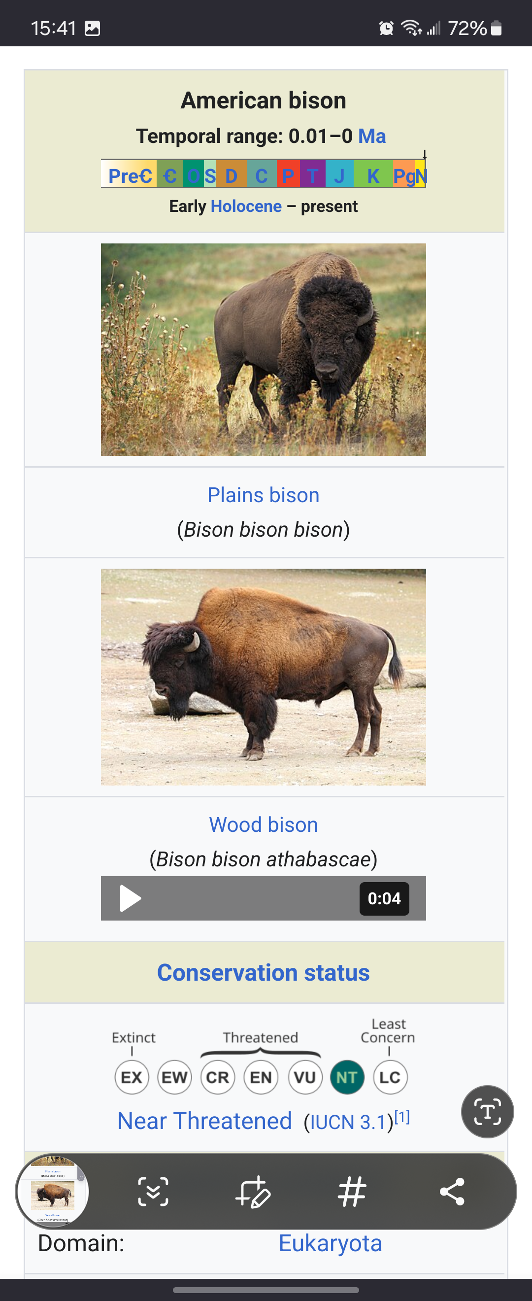 Bison Bison Bison