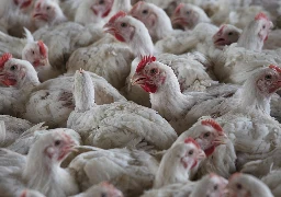 Oregon confirms state’s first human case of H5N1 bird flu in Clackamas County