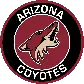 azcoyotes