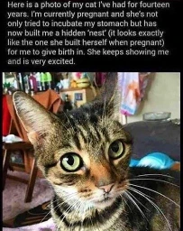 the background blur