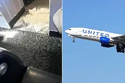 United Airlines Flight Forced to Divert After Dog Pooped in First Class Aisle
