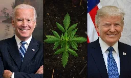 Biden Vs. Trump On Marijuana: Where The Candidates Stand Heading Into The 2024 Election - Marijuana Moment