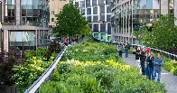 The High Line Opened 15 Years Ago. What Lessons Has It Taught Us? The world-famous New York City gardens offer a master class in how to grow and maintain a naturalistic landscape.