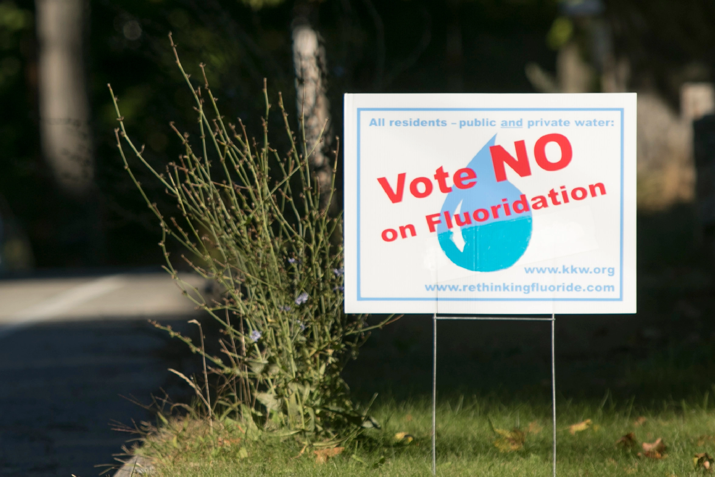 As Bans Spread, Fluoride in Drinking Water Divides Communities Across the US - KFF Health News