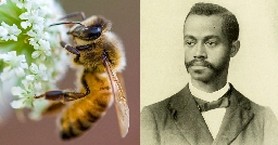 The Ants, the Bees, and the Blind Spots of the Human Mind: How Entomologist Charles Henry Turner Revolutionized Our Understanding of the Evolution of Intelligence and Emotion